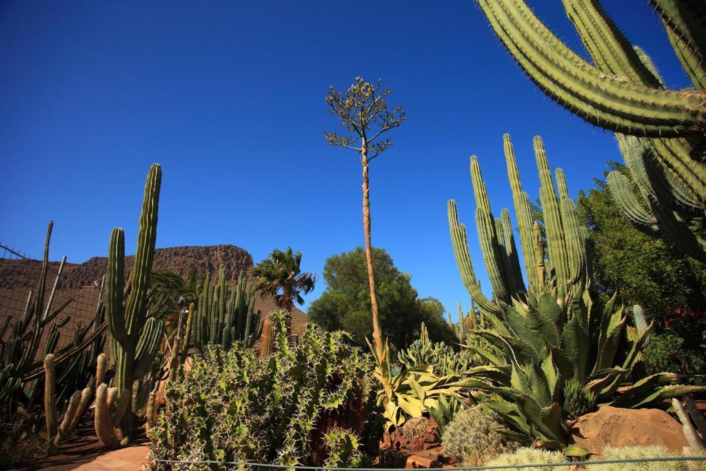 Sunny Bungalow With Garden #1 Maspalomas  Luaran gambar